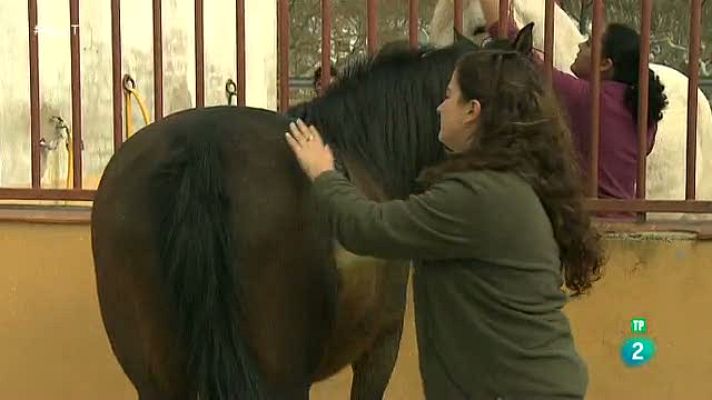 Aquí hay trabajo - Nuevas tendencias de FP que funcionan