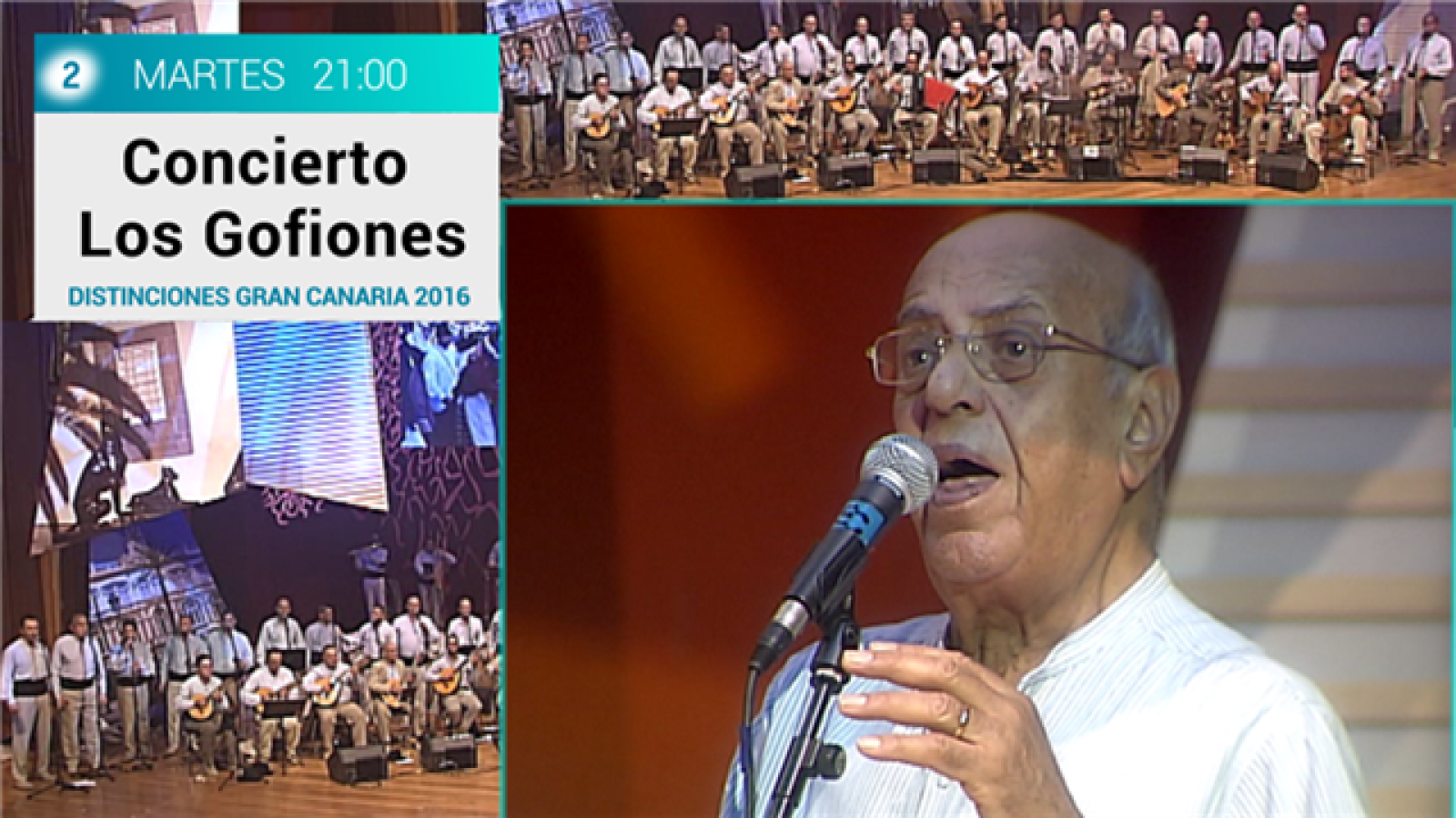 Concierto Los Gofiones 2