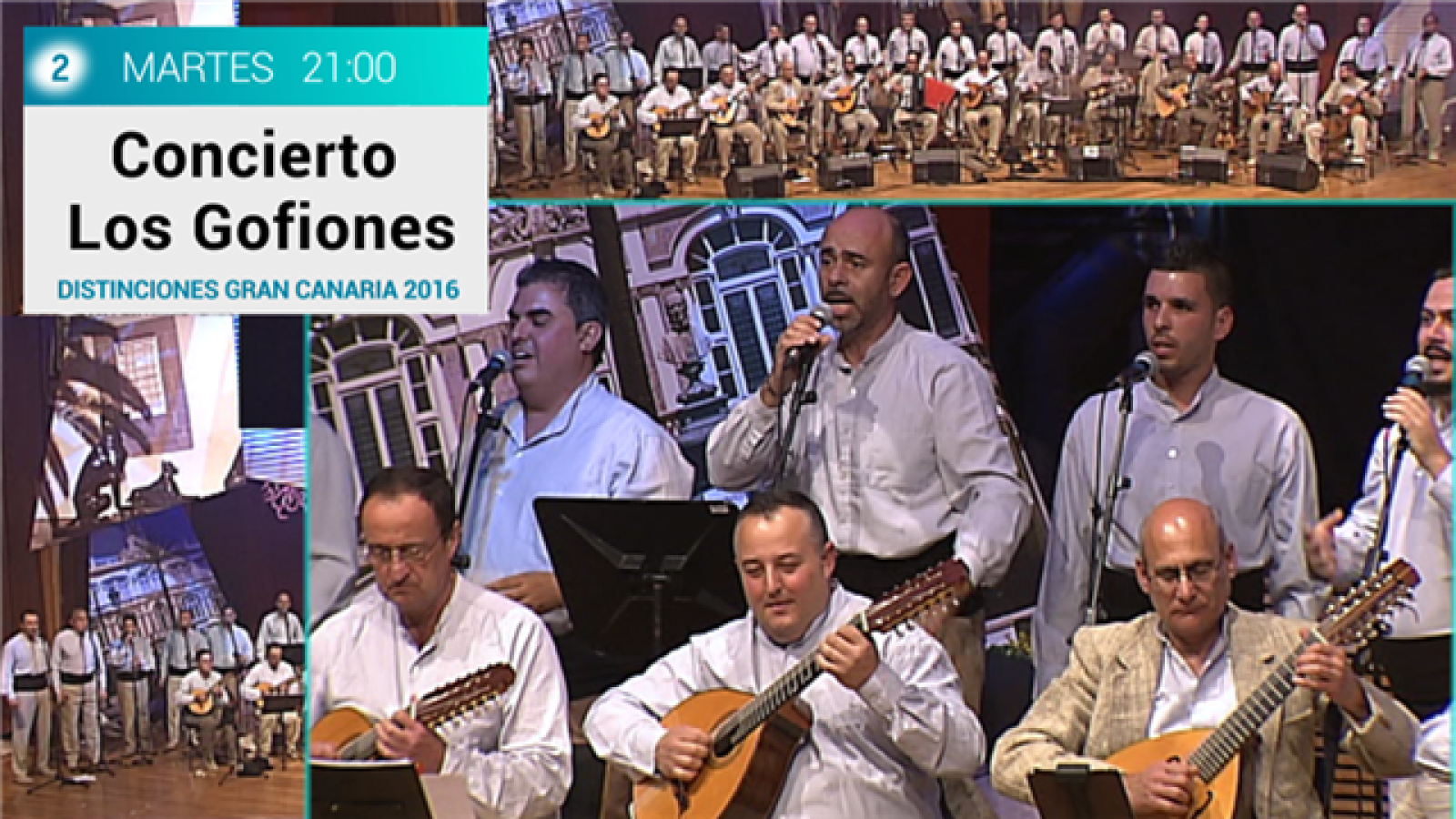 Concierto Los Gofiones 1
