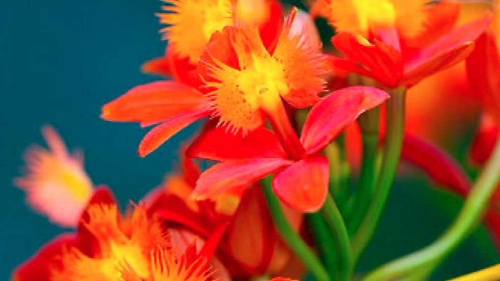 Saber y ganar - Saber y ganar - 15/04/16