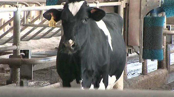 Agrosfera - Agrosfera - 16/04/16