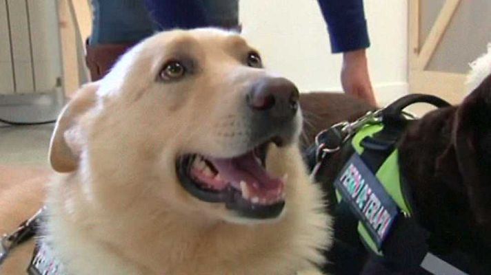 España en comunidad - España en comunidad - 16/04/16