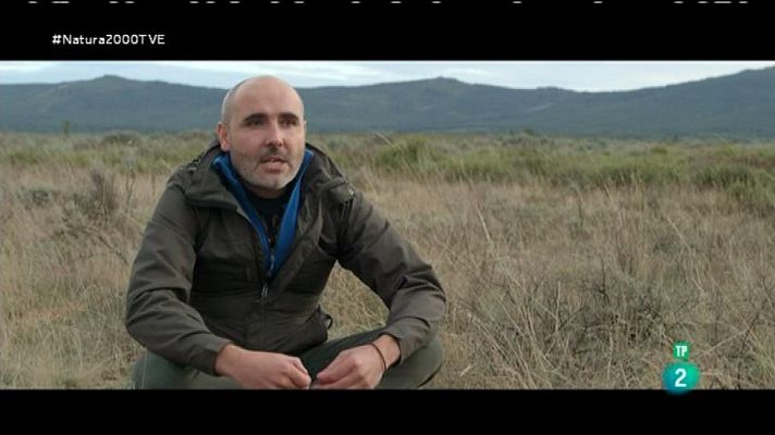 Red Natura 2000 - Ecoturismo lobo