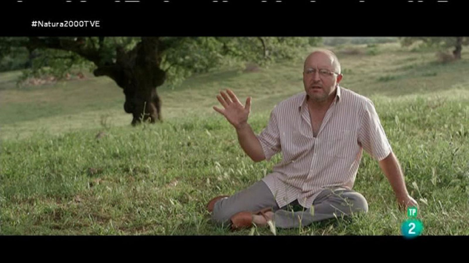 Red Natura 2000 - El Rincón de los cerezos