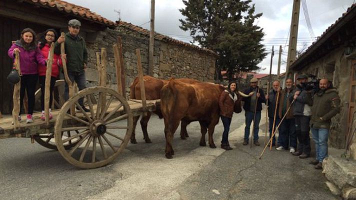 España Directo - Hoyocasero acoge la Mascarávila