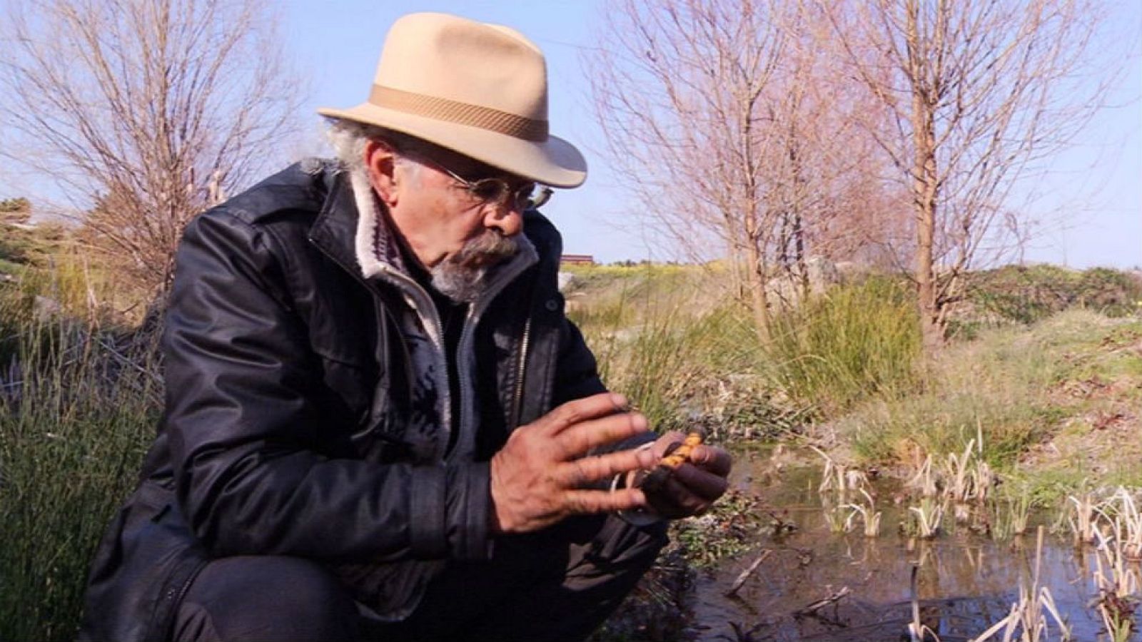 Juan Plantas y la espadaña