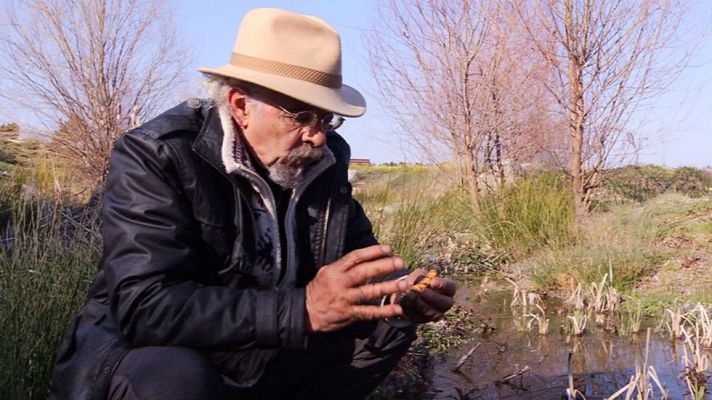 Aquí la Tierra - Juan Plantas y la espadaña