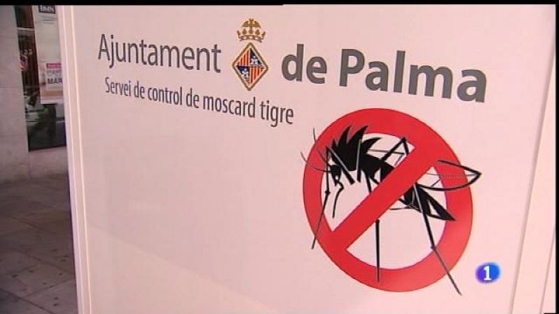 Prevenció per evitar el moscard tigre