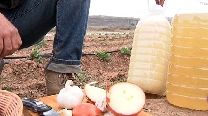 Aquí la Tierra - Remedios naturales para nuestras plantas