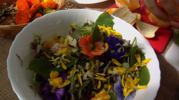 Aquí la Tierra - ¿A qué saben las flores?