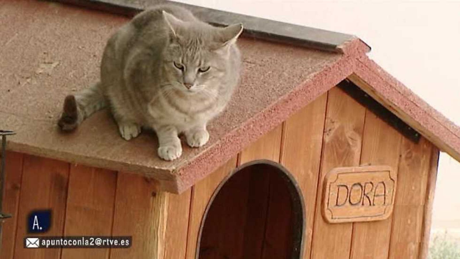 A punto con La 2 - 21/04/16 - Ver ahora