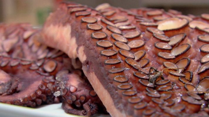 Aquí la Tierra - De pulpo en pulpo