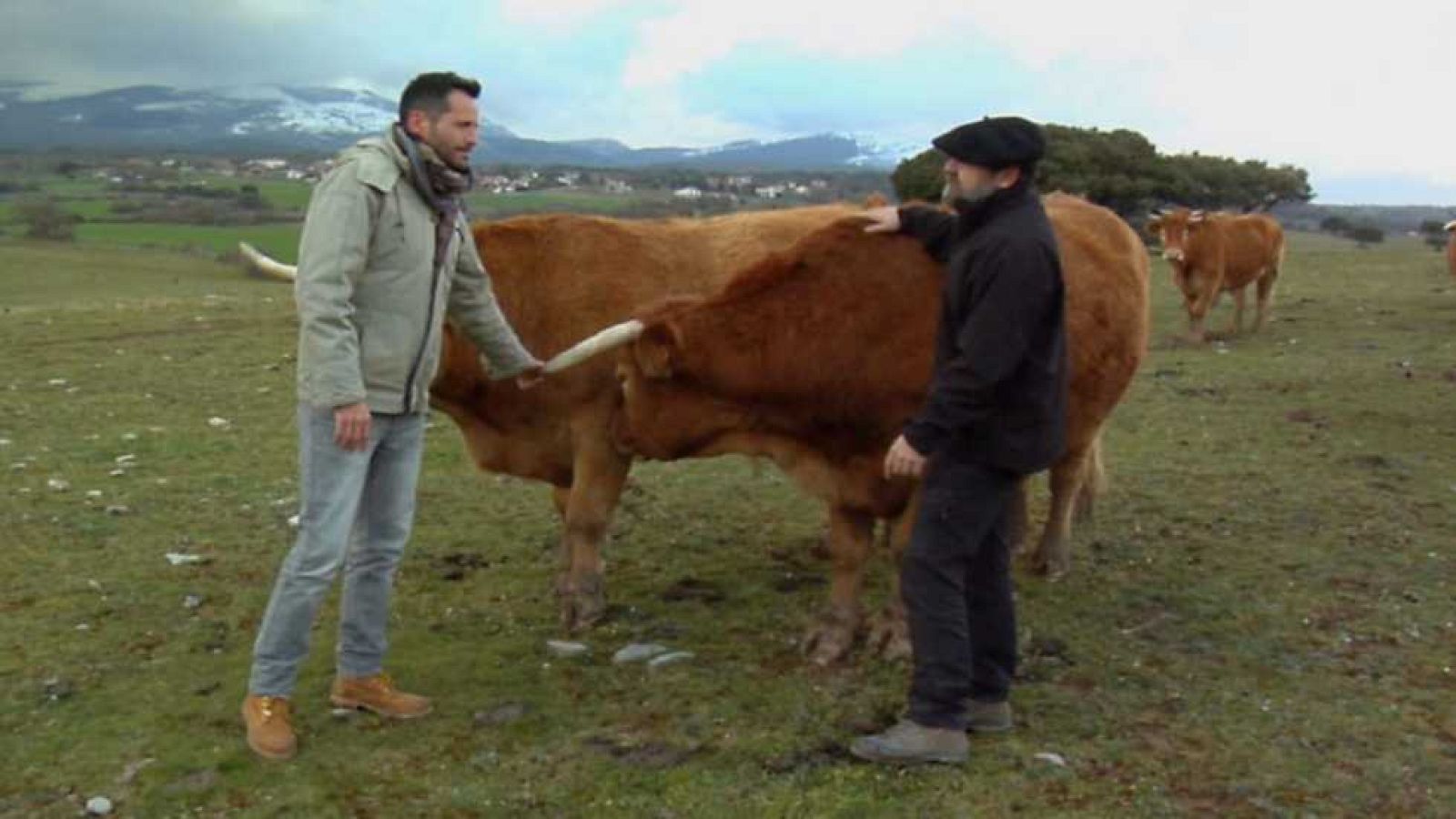 Aquí la Tierra - 21/04/16 - ver ahora