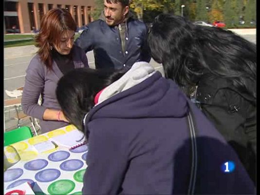  - Informe de Juventud en España 2008