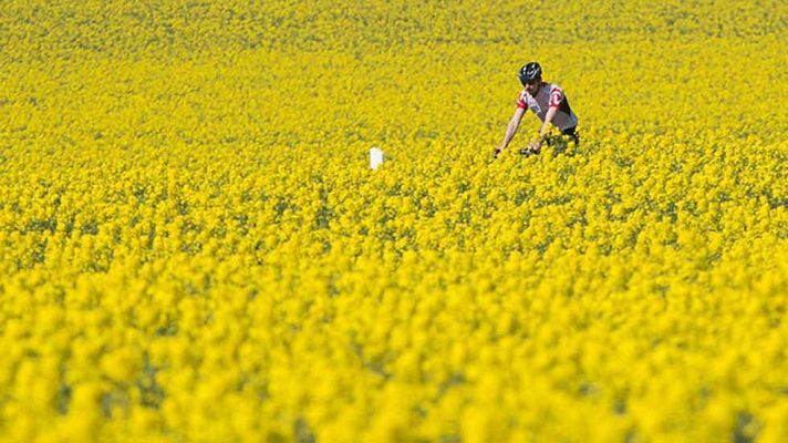 Informativo de Madrid - El Tiempo en la Comunidad de Madrid - 22/04/16