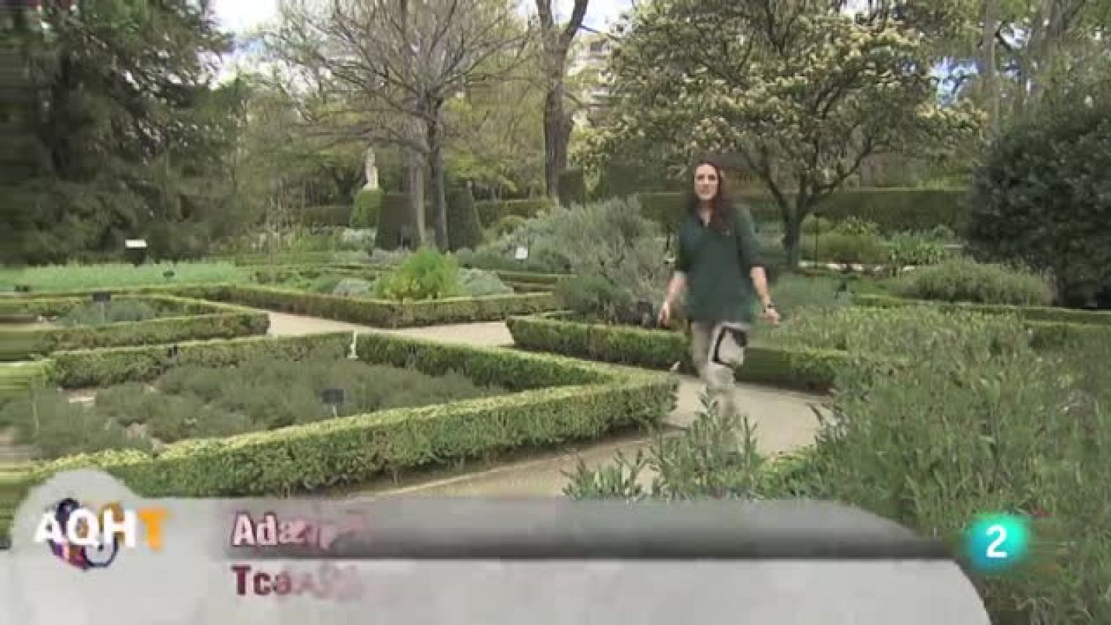 Plan de Garantía Juvenil