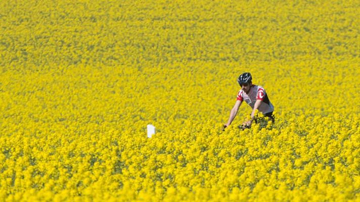 El tiempo - Menos lluvia y más sol en un fin de semana con temperaturas de 25 grados