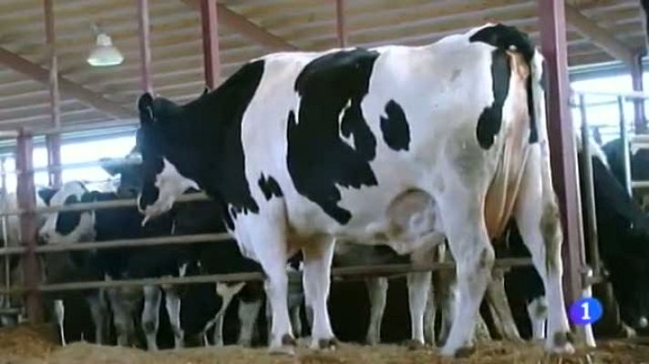 Noticias Aragón - Semana del sonido-22/04/16