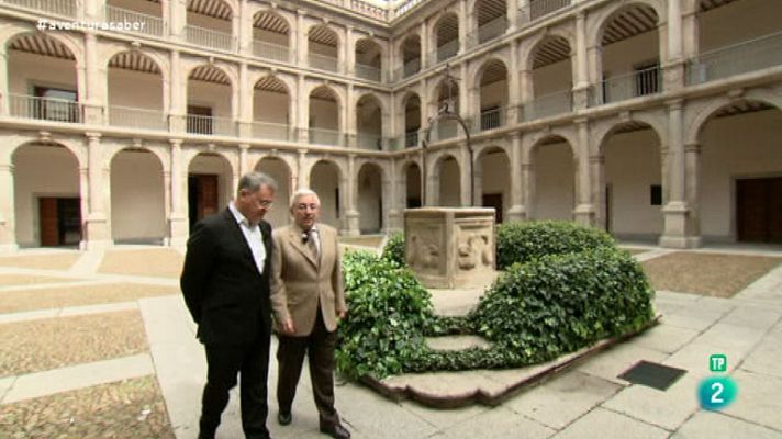 La aventura del Saber - V Centenario Miguel de Cervantes. Carlos Alvar Ezquerra