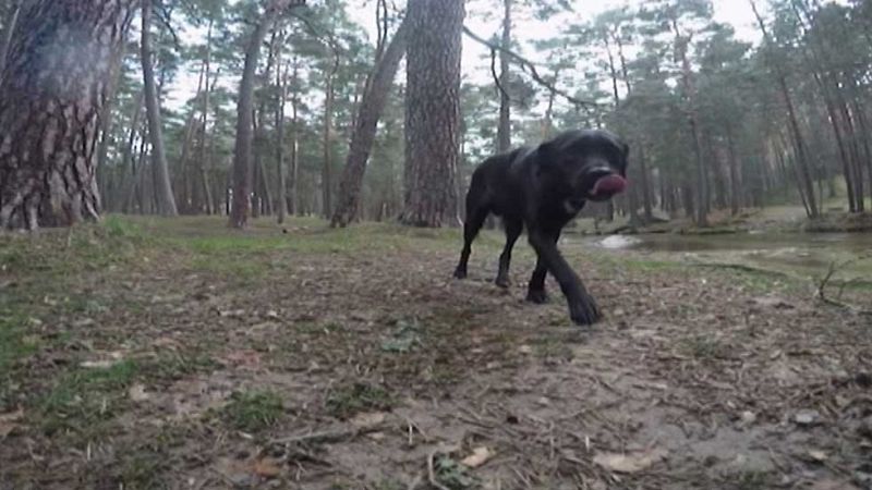 El Tiempo en la Comunidad de Madrid - 25/04/16