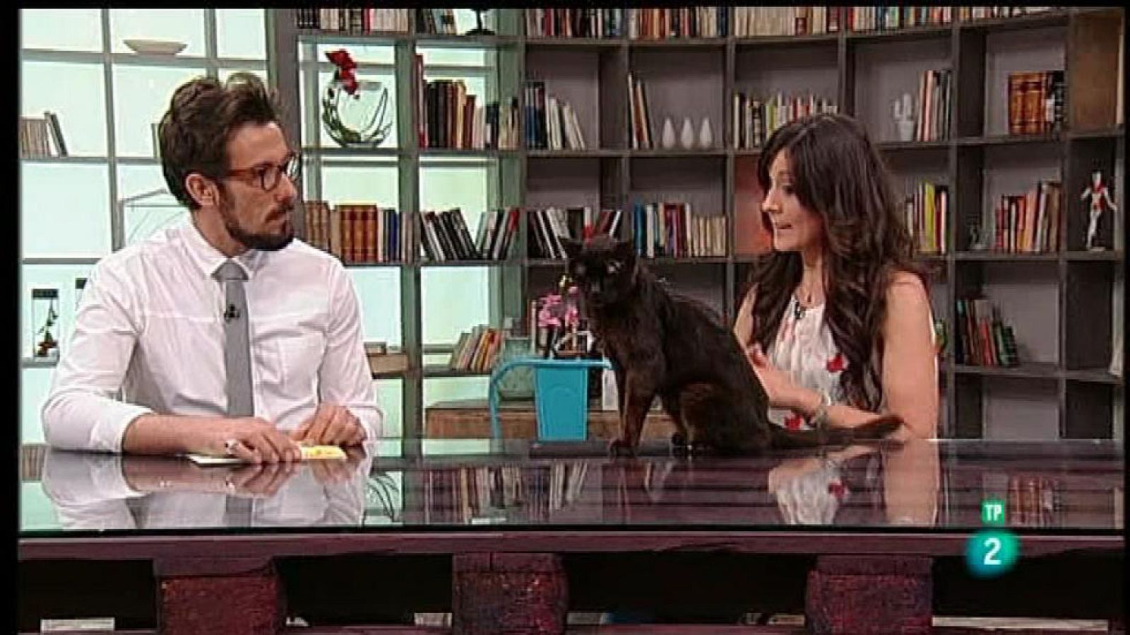 A punto con La 2 - Animales en casa - Los gatos y sus bandejas