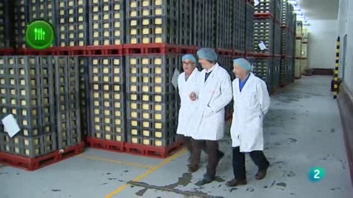 Agrosfera - Queso de Zamora AE