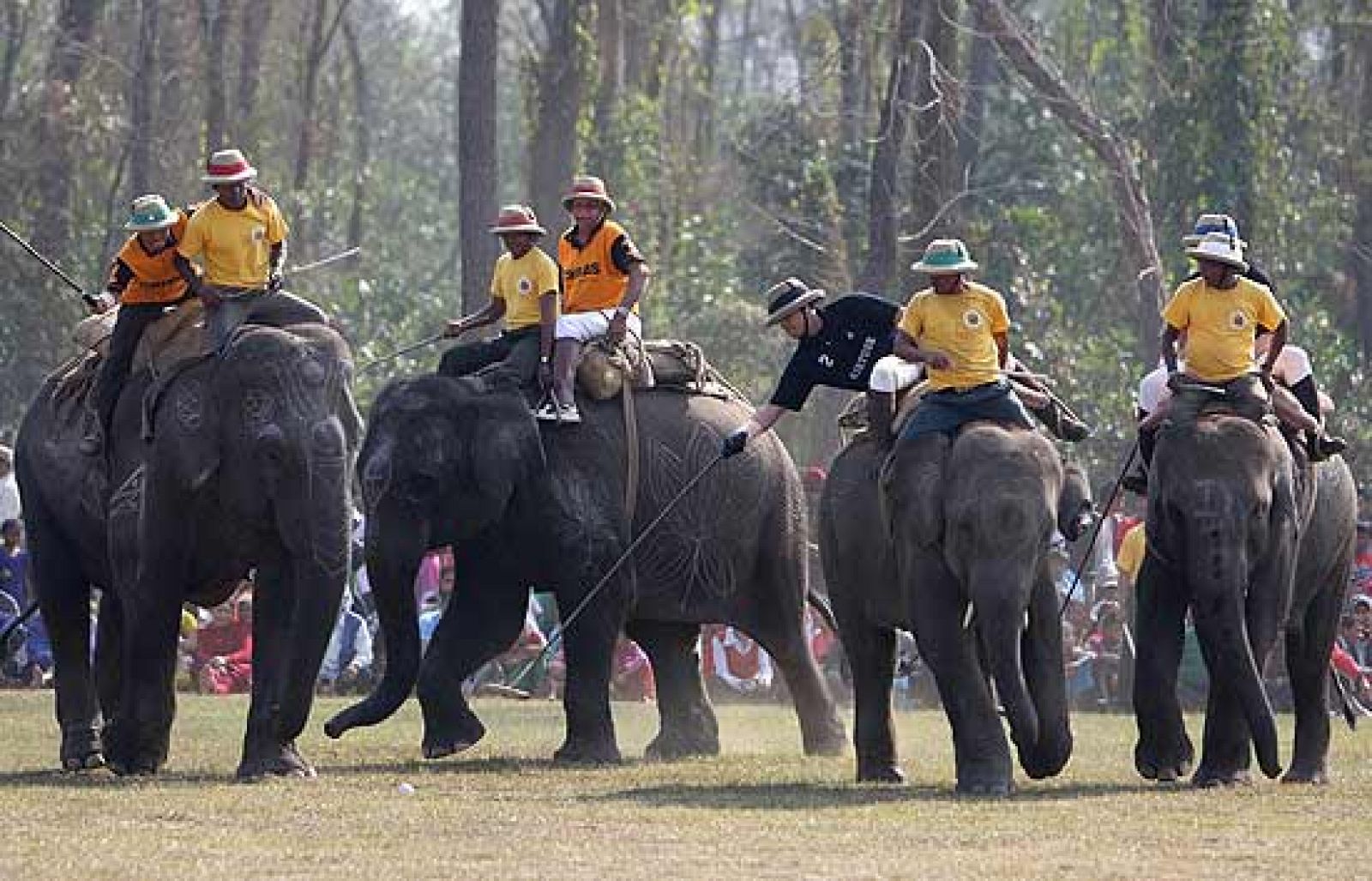 Inglaterra gana el mundial de polo sobre elefantes