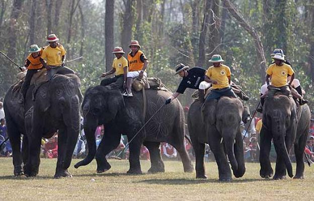  - Campeones de polo en elefante