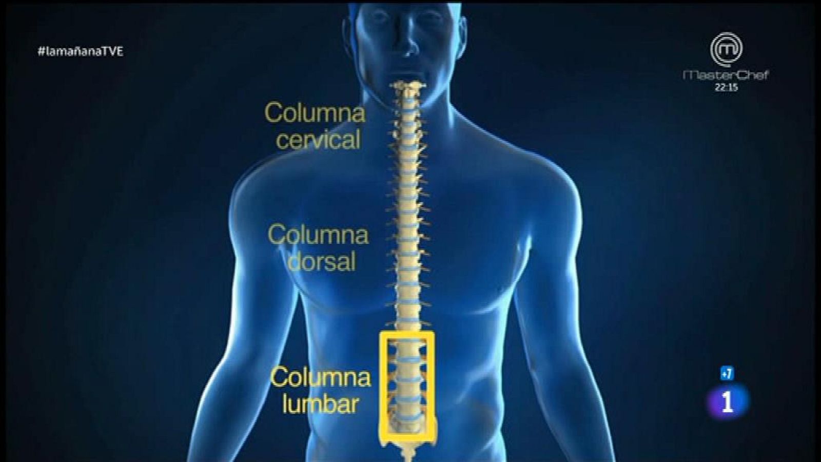 La mañana - Canal espinal