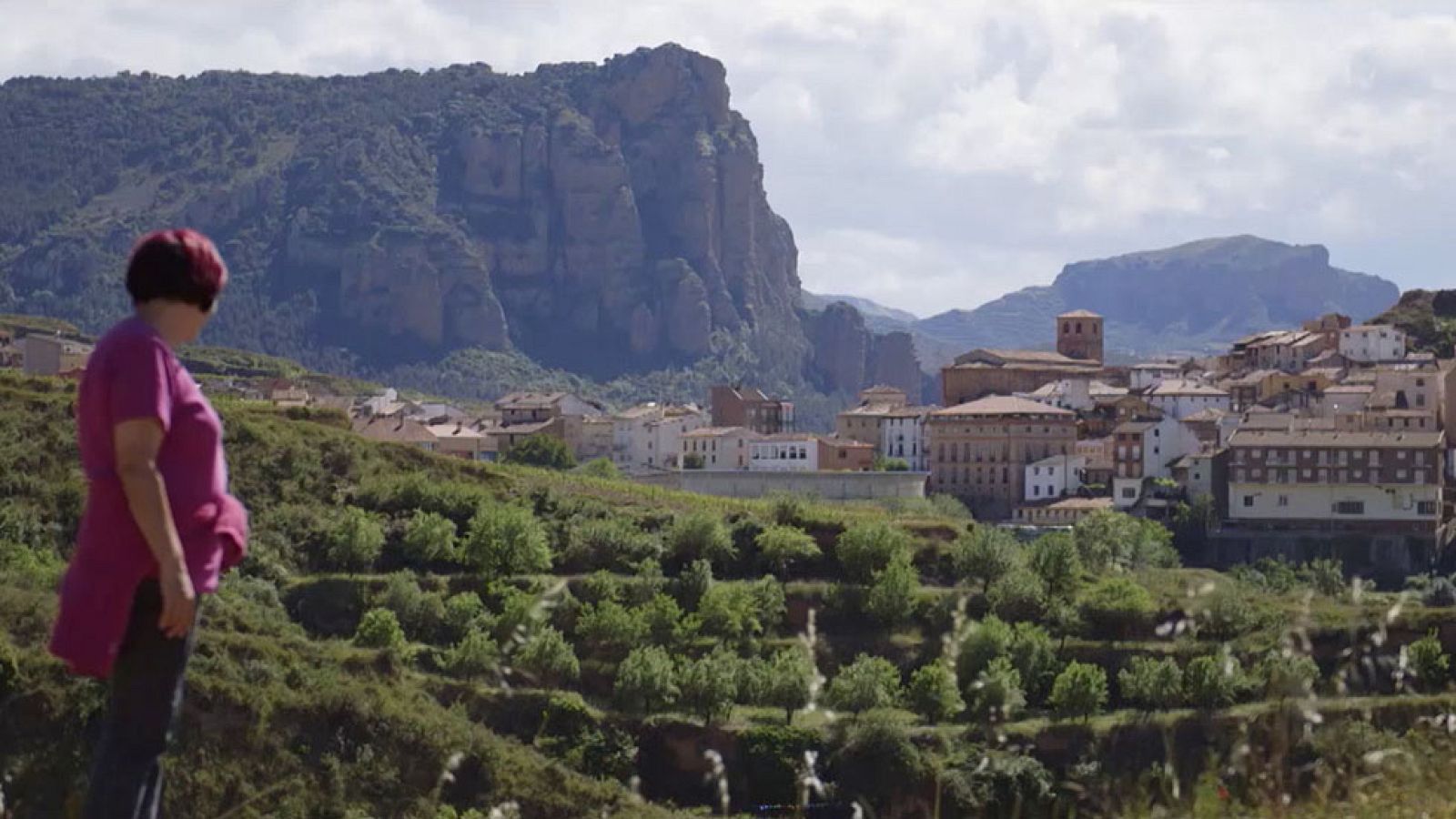 Red Natura 2000 - Peñas de Iregua (Nalda) - Avance