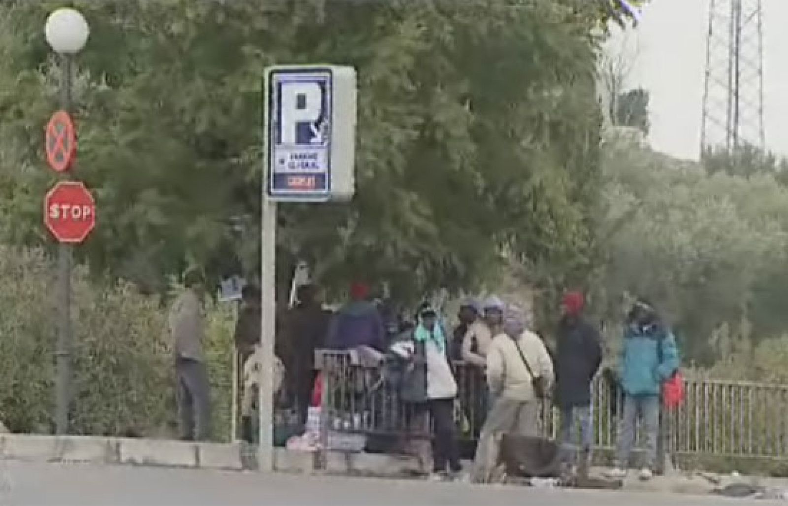 Reporteros del telediario - El temporal retrasa las campañas agrícolas en Andalucía y unos diez mil inmigrantes deambulan sin trabajo - Reporteros del Telediario | Ver