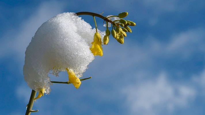 El tiempo - Chubascos fuertes en el Sistema Central e Ibérico