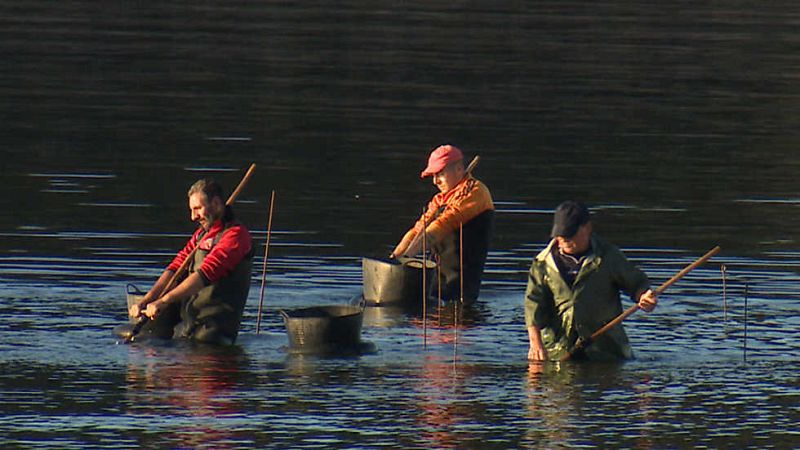 Crónicas - Ría Grande