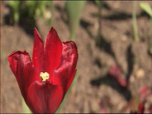 Panorama Regional - El tiempo en Asturias - 29/04/16