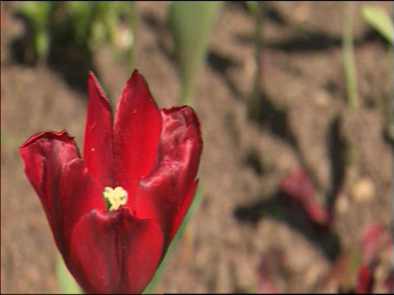 El tiempo en Asturias - 29/04/16 | Ver
