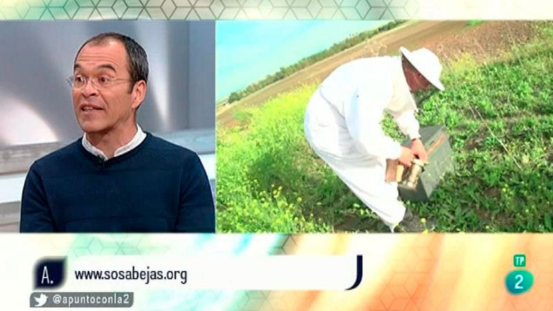 A punto con La 2  - Proyectos solidarios - Las abejas