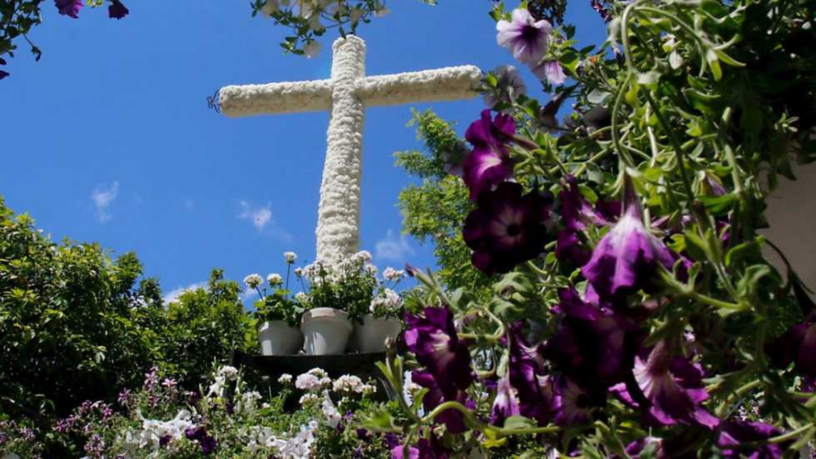 España Directo - 29/04/16 - ver ahora