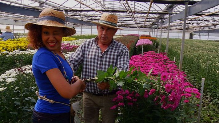 Aquí la Tierra - Díselo con flores
