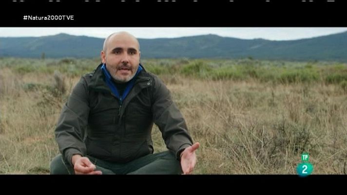 Red Natura 2000 - Ecoturismo lobo