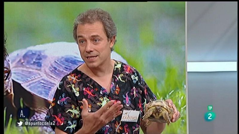 A punto con La 2 - Animales en casa - Las tortugas