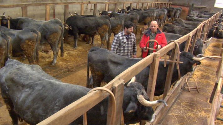 Aquí la Tierra - Un artesano de candados gigantes