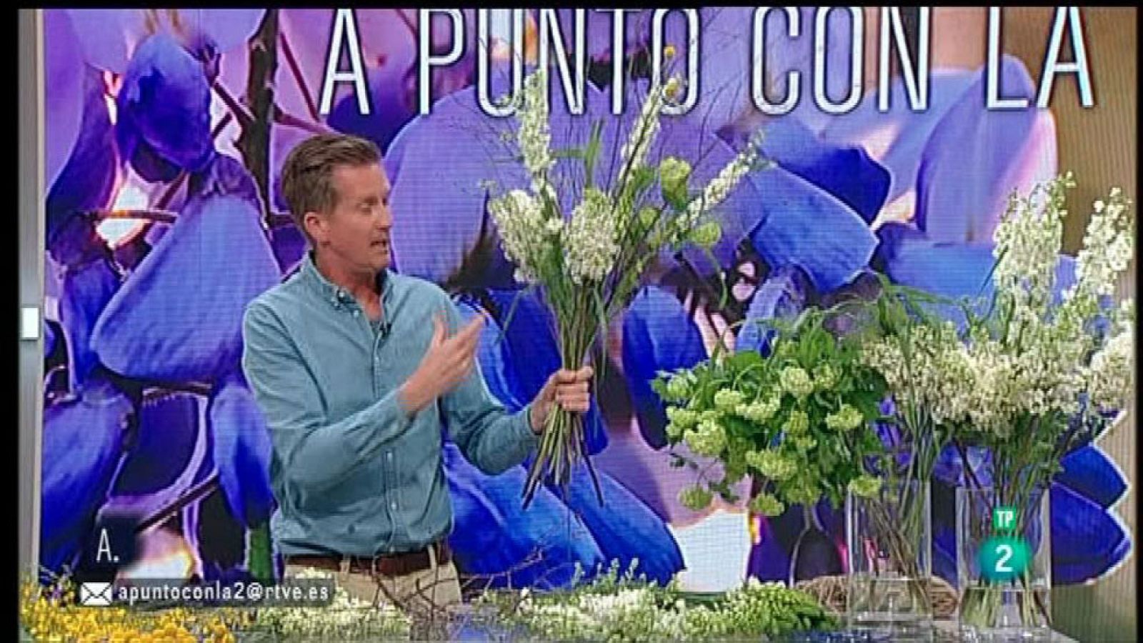 A punto con La 2 - Flores - Plantas trepadoras y jardín vertical