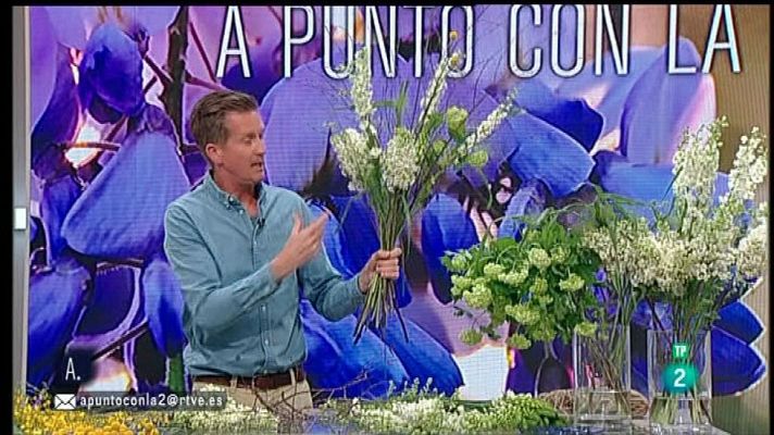 A punto con La 2 - Plantas trepadoras y jardín vertical