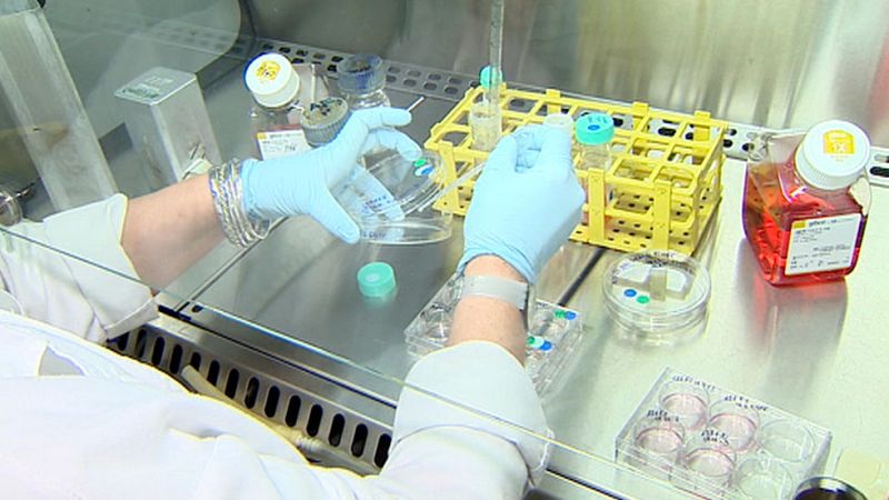 Vitamina D para mejorar la quimioterapia contra el cáncer de mama