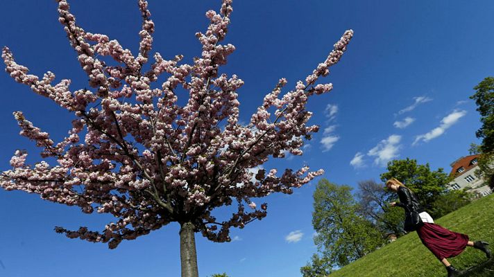 El tiempo - Cielos despejados en casi toda España y levante fuerte en el Estrecho