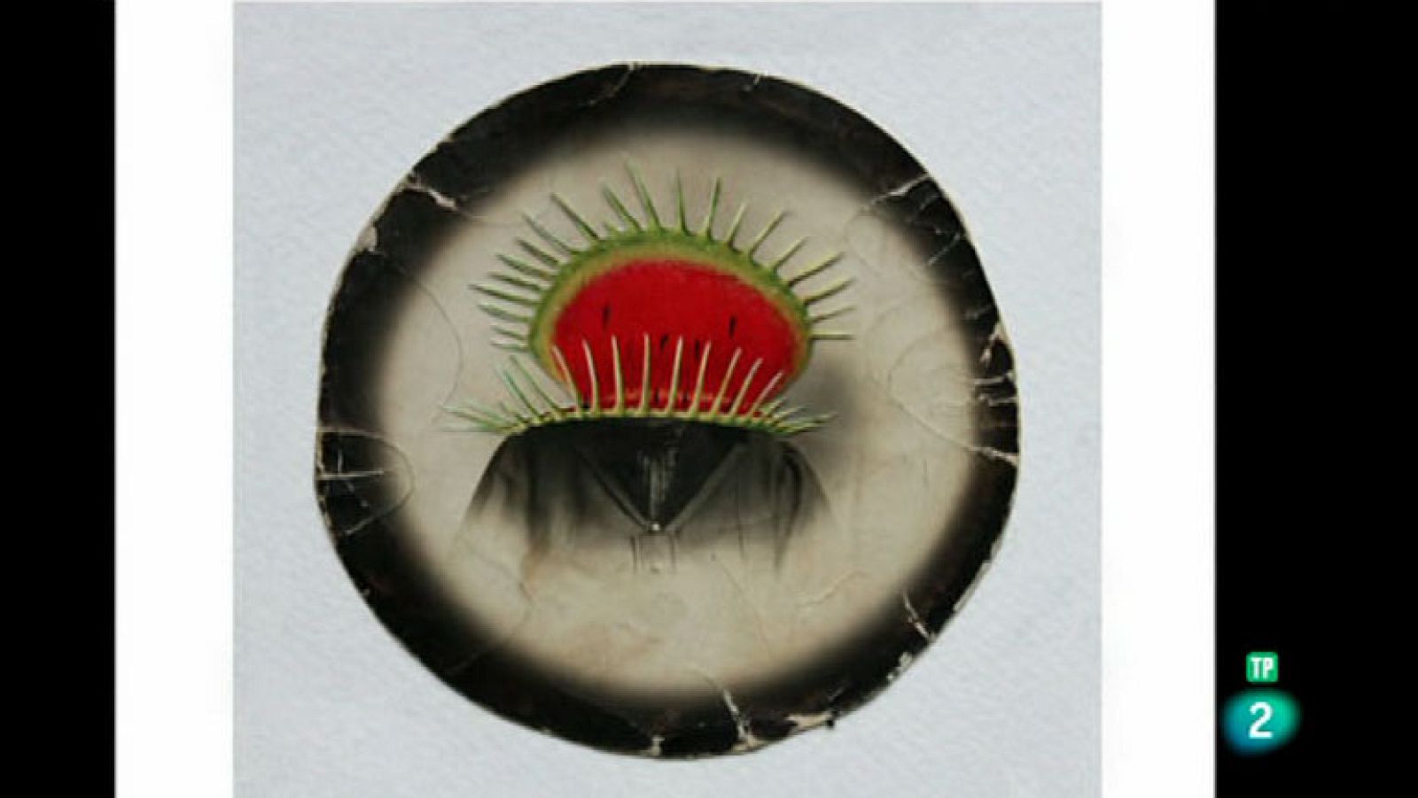 La Aventura del Saber. Serie Boek Visual. Mónica Ezquerra