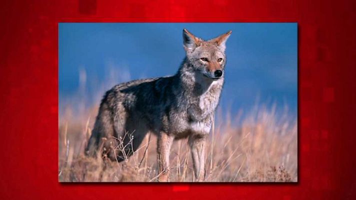 Saber y ganar - Saber y ganar - 04/05/16