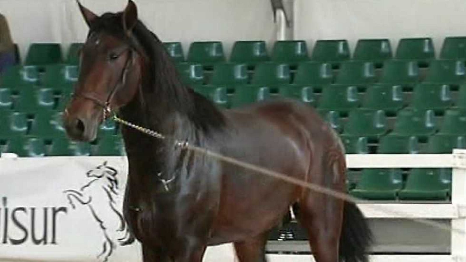 España en 24 horas - 04/05/16 - ver ahora