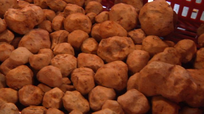 Aquí la Tierra - En busca de la trufa extremeña