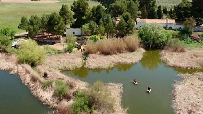 España Directo - España Directo  - 04/05/16